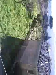 marcellinara caldo prima del grande freddo