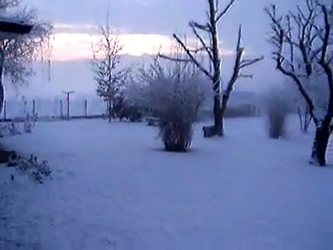 nevicata 29/01/2010
