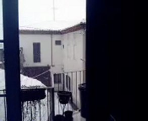 Nevicata del 5/2/2010