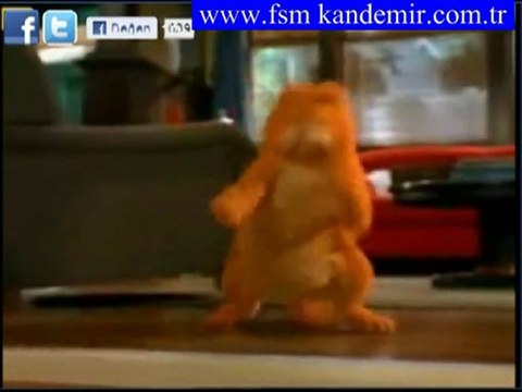 garfiyılt apaçi dansını izle