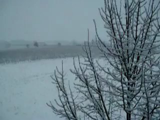 Nevicata 10 Marzo 2010 ore 07.45