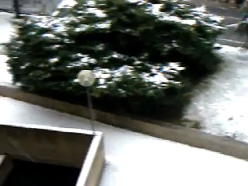 neve oggi