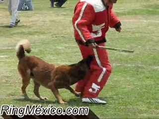 Ring México - ¨Papaito¨ Manuel Montero, Ring Francés México