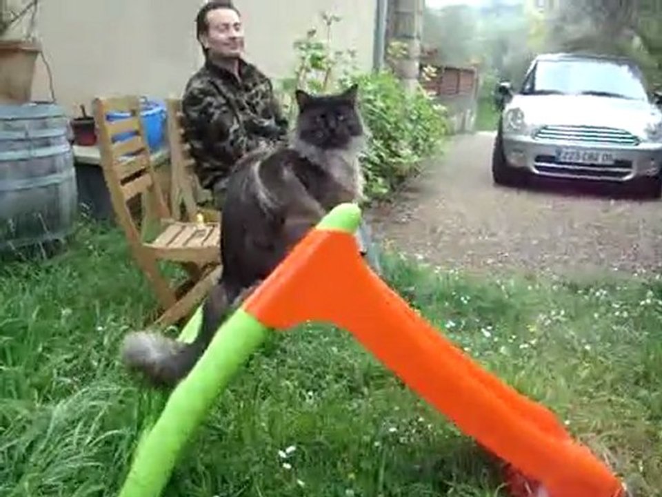 Chasse aux oeufs suite