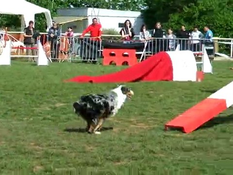 Daytona 1er degrè Villeneuve d'Aveyron 2011