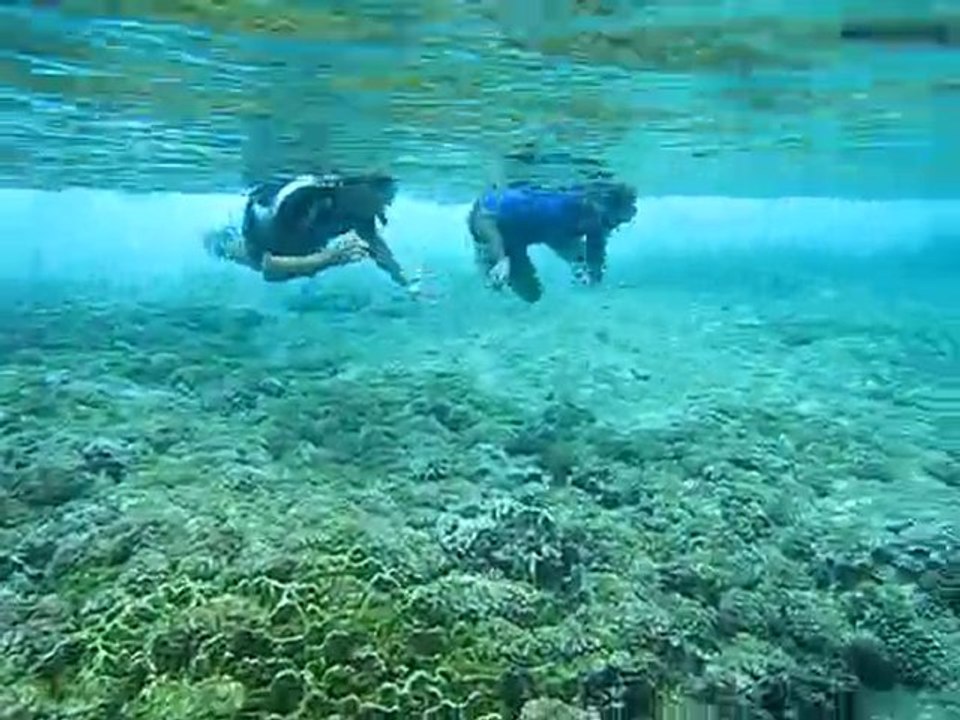 tetiaroa par les 4d