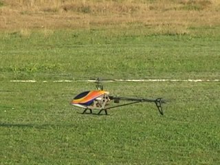 TREX-600 3D Flight II