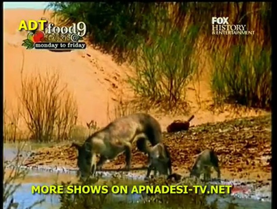 Walking With Beasts -1