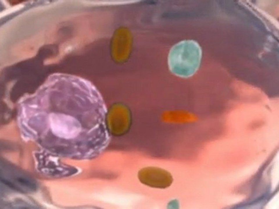 Anti Aging Products With Glutathione Supplements