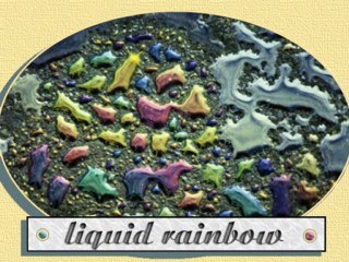 Photographic Internet Infomercial | SkyVault Web Site Services