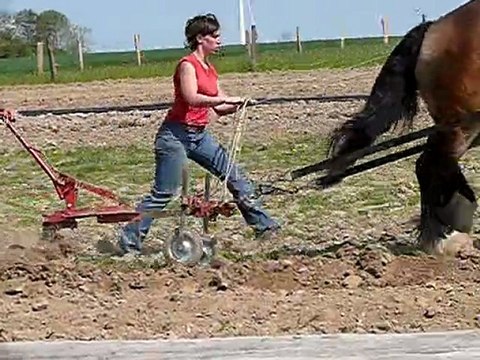 La Neuville sur Oudeuil : les légumes bio des jardins de syrius