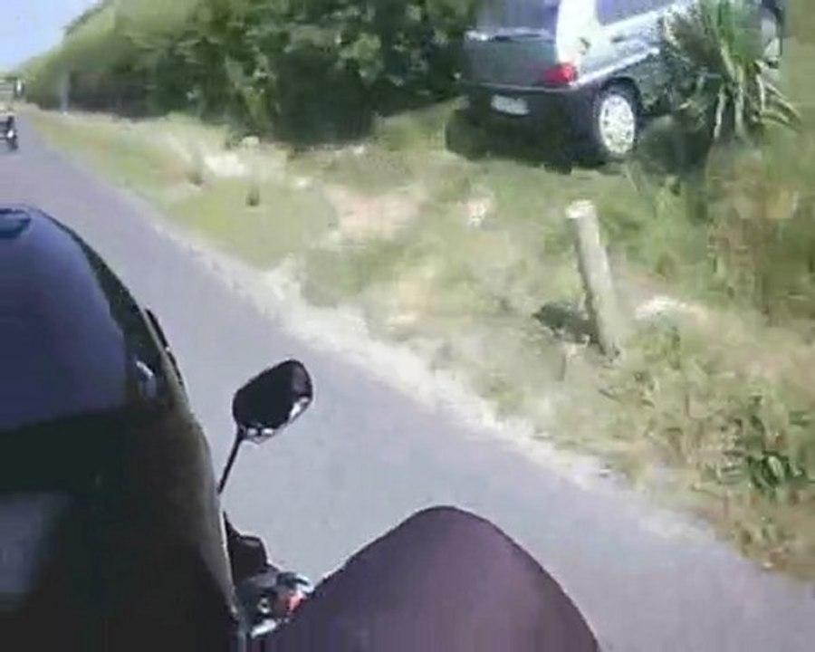 balade au profit de l'association pour les chiens d'aveugle