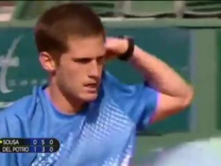 Del Potro battles past Sousa