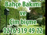 Çamlıbahçe Bahçe Bakımı - 0216 319 49 72 - Ağaç Budama ve Bahçe Bakımı