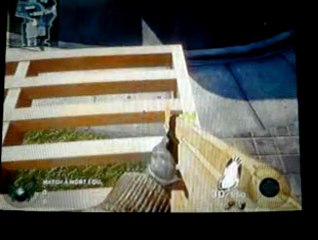 bug call of duty by bloodhell94 (2)