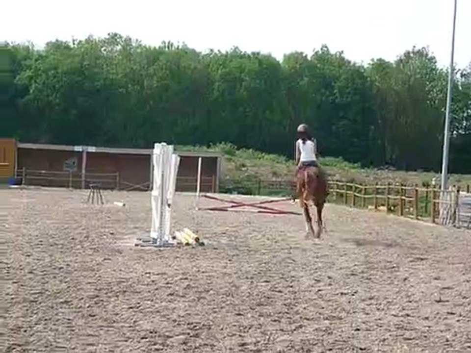 P1030036