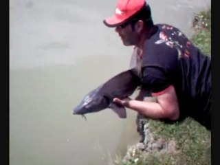 Sortie esturgeon avec robin et ced