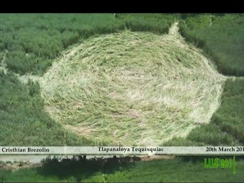 First Crop Circles in 2011 Indonesia, Mexico, Netherlands, UK