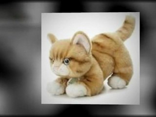 Getting stuffed animals