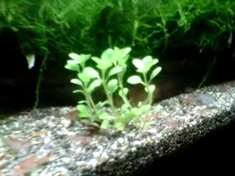 VID 00008-20110427-0802