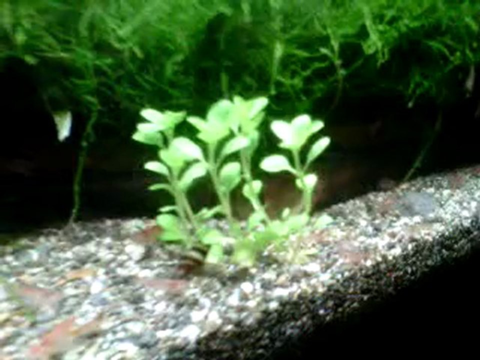 VID 00008-20110427-0802