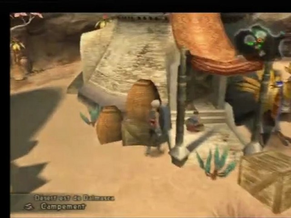 Final Fantasy 12 [25] La famille du pampa fleuri