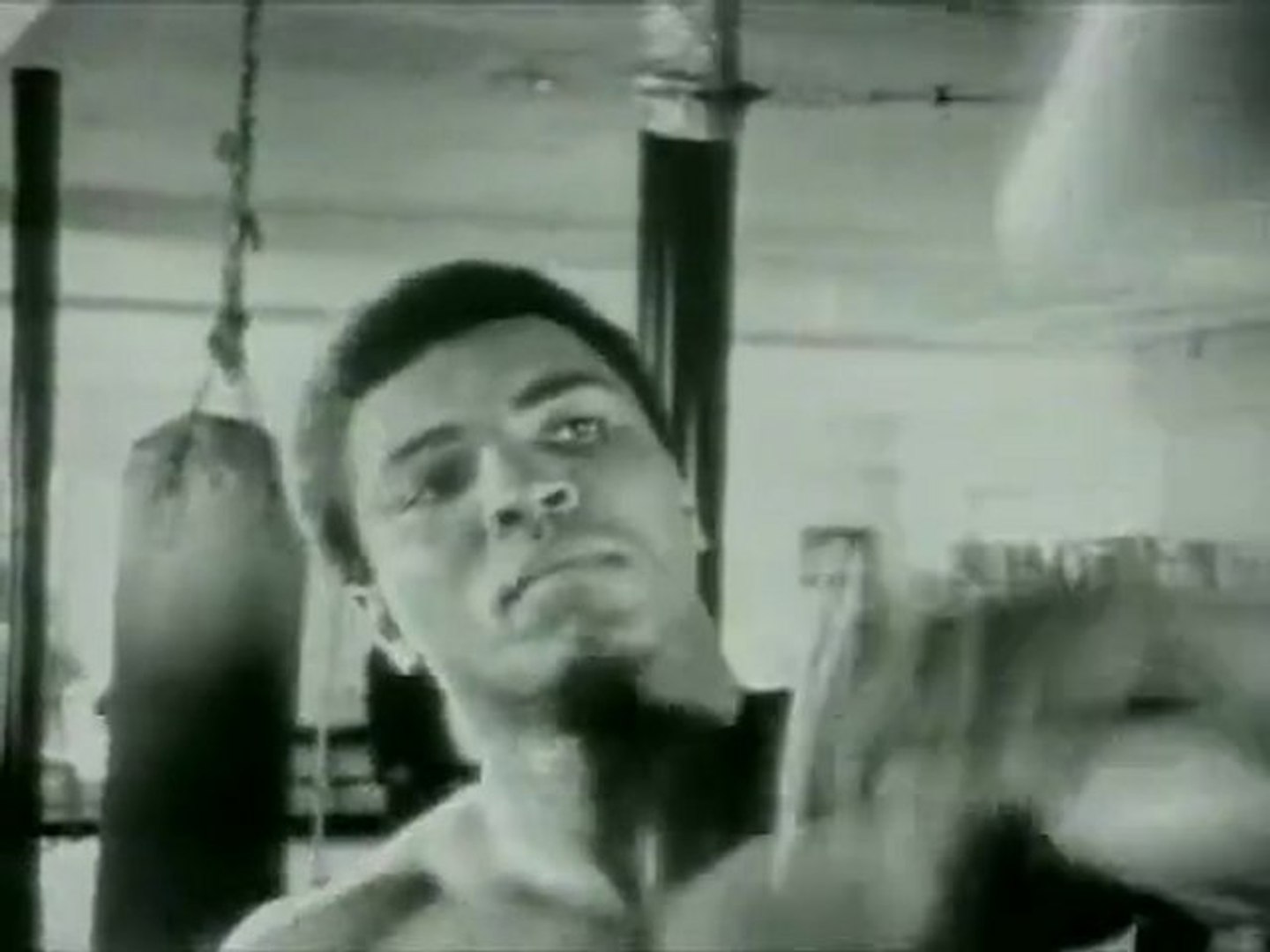 Histoire de la boxe