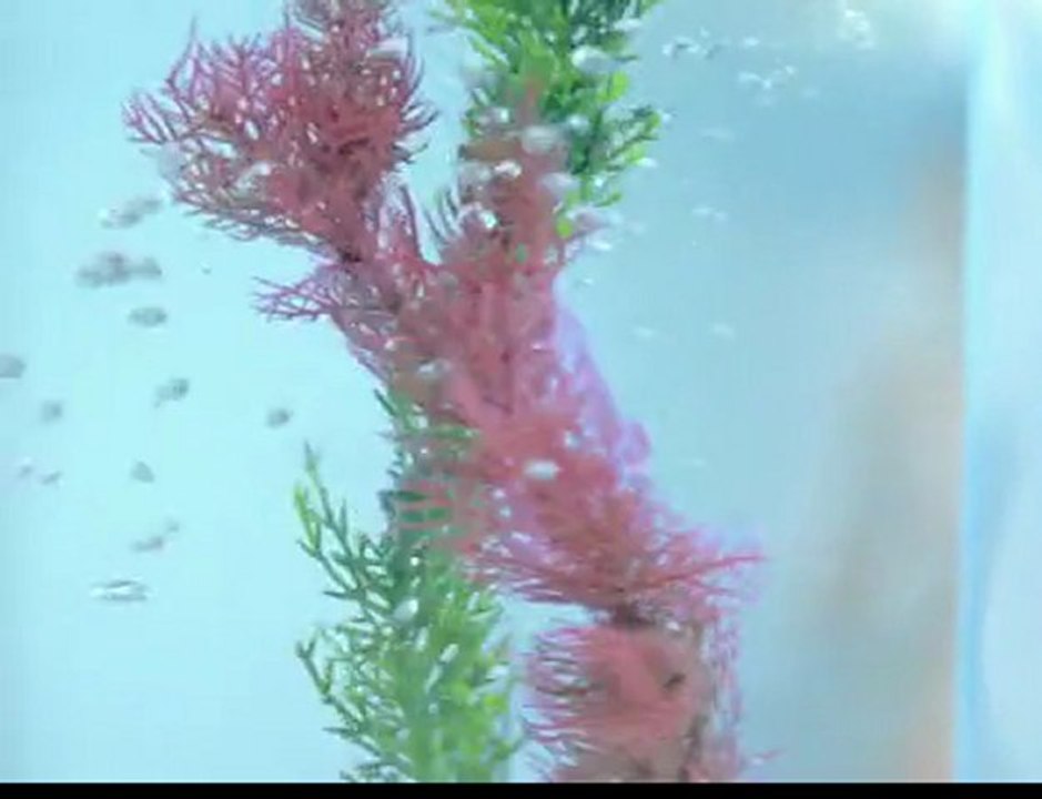 Oriflame Aqua-Ryhthm