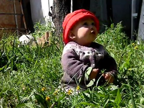 marius petit garçon cueillette 16 avril