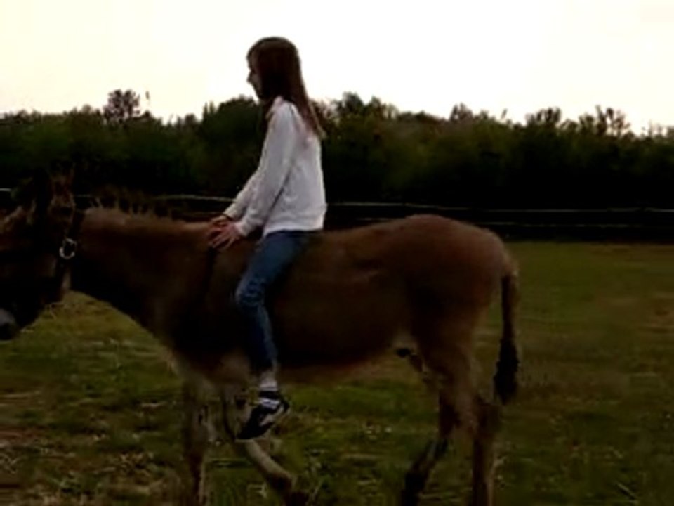 Moi sur toufir