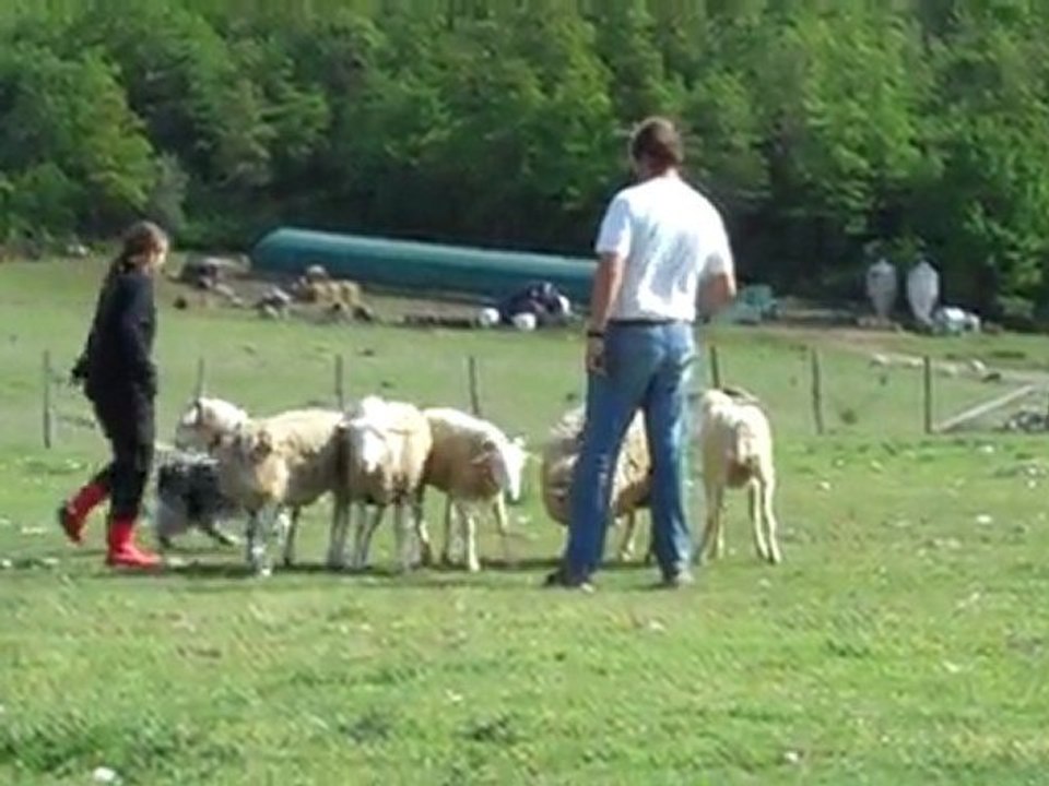 Troupeau Lénaïc et Fidji