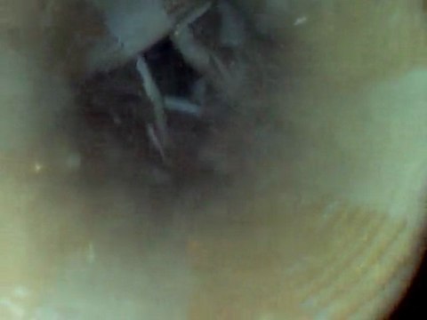 Su altı kamerası satılır.0 542 633 54 98 Cengiz Tamkan Ödemiş