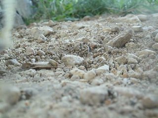 balade schleich+saut(appareil julie) 029