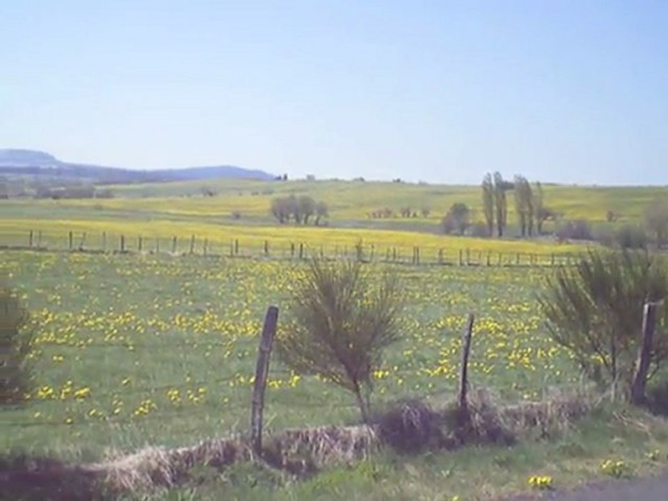 Massif du Sancy: Balade du coté d'Espinasse (La Maison bleue)