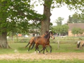 LE BONHEUR EST DANS LE PRé