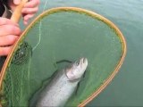 Hendrix Outdoors - 1st catch at Pyramid Lake with Hendrix Waders