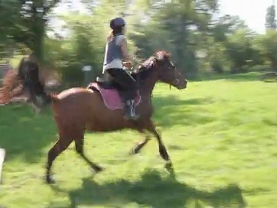 Un cours de cross au Stage de pâques 2011