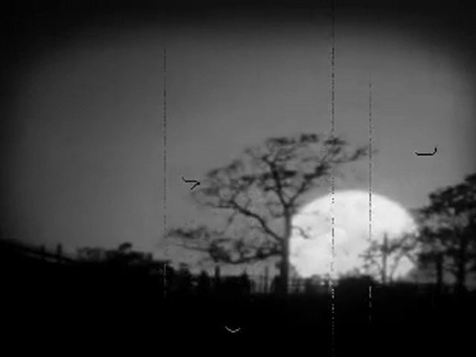 Tracy Chapman - The promise