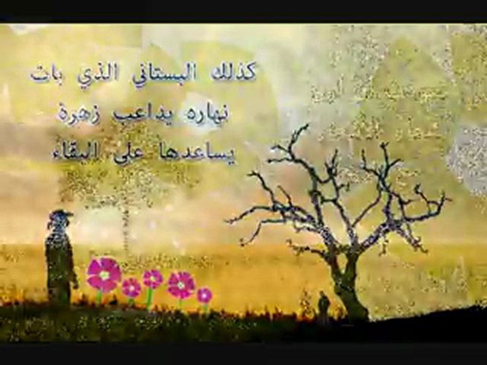 تعلمت