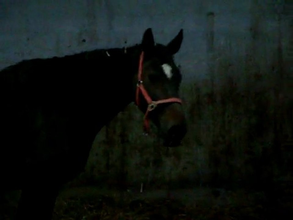 BRUME DE DRULHET H+1 bis