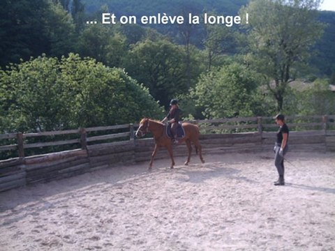 Débourrage 1ère séance montée