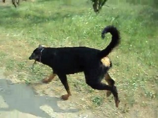 ma belle naiade ! 009