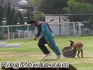 Ring México - La Canasta con Fernando Dosta