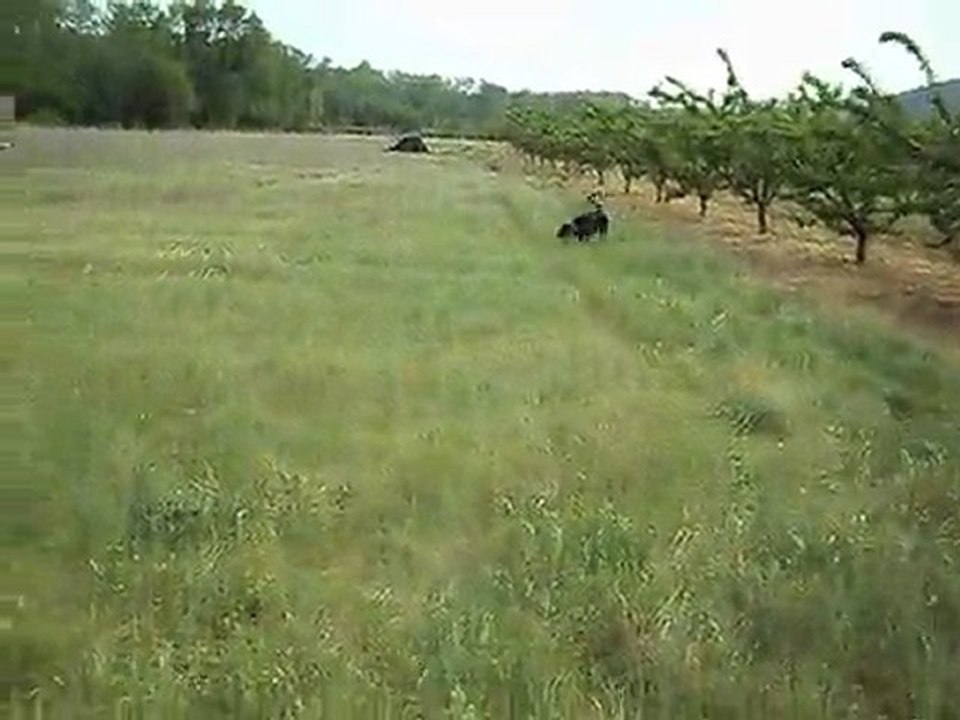 ma belle naiade ! 013