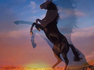 always look on the bright side of life