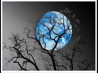 Moonstruck-Bob Causer and His Cornellians