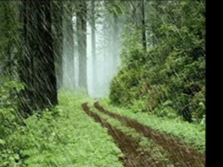 DİDEM GÖKBULUT SESİYLE... YAĞME BE YAĞMUR...