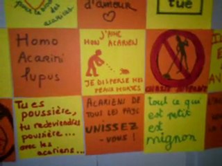 Message d'une scout à Mathieu Chedid aka M