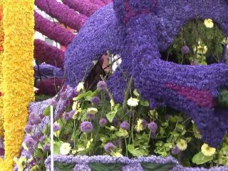 CORSO FLEURI aux Pays Bas