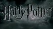 Harry Potter et les reliques de la mort - partie 2 Bande Annonce